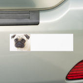 Pug Dog Bumpersticker
 Bumpersticker (Op auto)