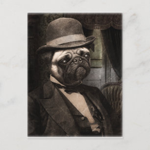 Pug Dog Dapper Gent Briefkaart