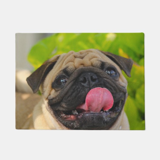 Pug Dog. Deurmat (Voorkant)