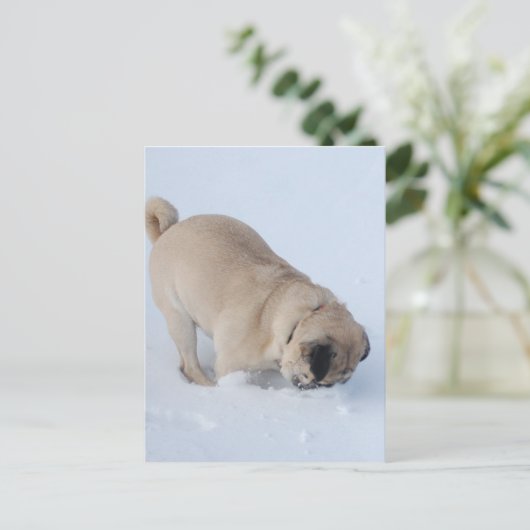 Pug Dog die de wintersneeuw speelt Briefkaart (Staand voorkant)