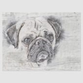 Pug Dog Drawing Tissuepapier (Voorkant)