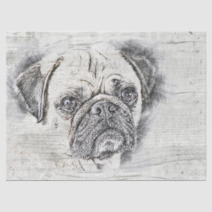 Pug Dog Drawing Tissuepapier
