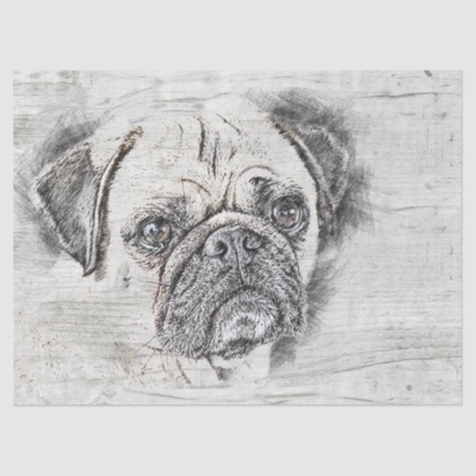 Pug Dog Drawing Tissuepapier (Voorkant)