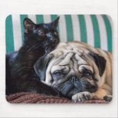 Pug Dog en Black Cat Slapen samen Muismat (Voorkant)