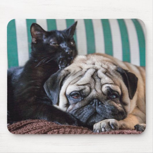 Pug Dog en Black Cat Slapen samen Muismat (Voorkant)