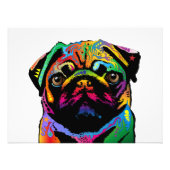 Pug Dog Foto Afdruk (Voorkant)