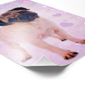 Pug Dog Foto Afdruk (Hoek)