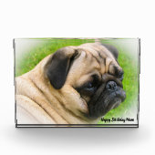 Pug Dog. Fotoblokken (Voorkant)