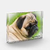 Pug Dog. Fotoblokken (Links)