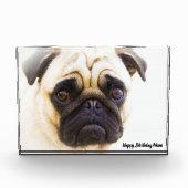 Pug Dog. Fotoblokken (Voorkant)