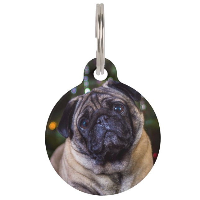 Pug Dog. Huisdierpenning (Voorkant)