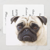 Pug Dog Kaart (Voorkant / Achterkant)