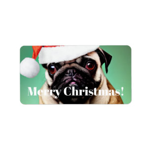Pug Dog Kerstmis Etiket