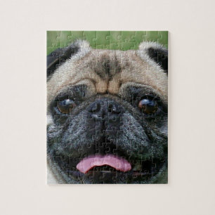 Pug Dog Legpuzzel