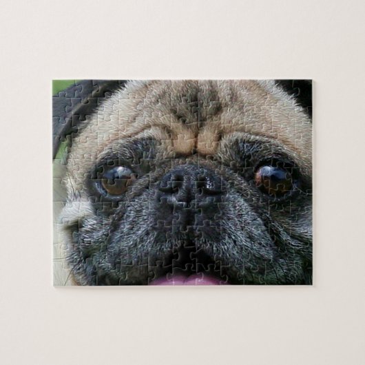 Pug Dog Legpuzzel (Horizontaal)