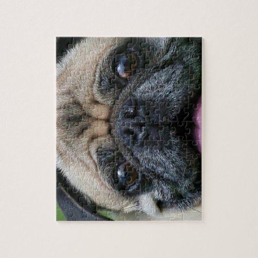 Pug Dog Legpuzzel (Verticaal)