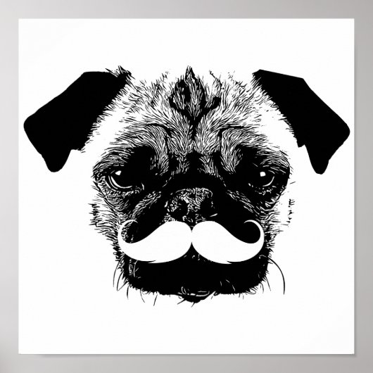 Pug Dog met Mustache Black & White Poster (Voorkant)