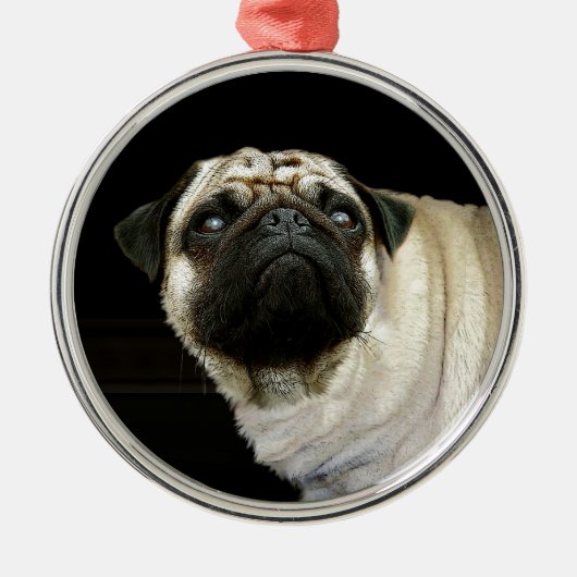 Pug Dog & Mok Pet-liefhebbers Ornament (Voorkant)