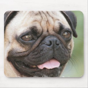 Pug Dog Muismat
