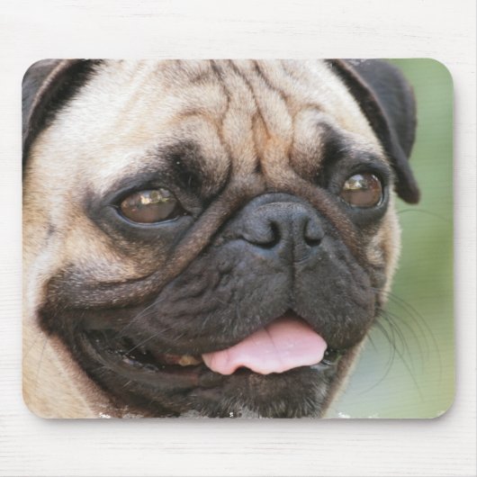 Pug Dog Muismat (Voorkant)