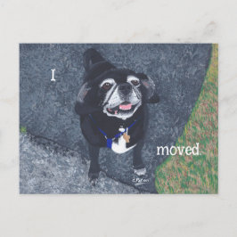 Pug Dog New Address Postcards Briefkaart