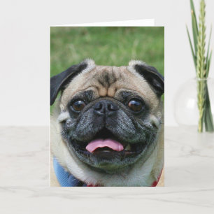 Pug Dog Notecard Kaart
