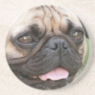 Pug Dog Onderzetter