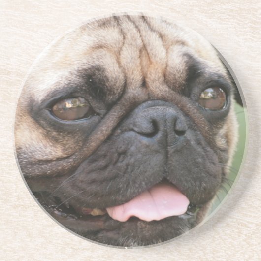 Pug Dog Onderzetter (Voorkant)