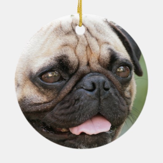 Pug Dog Ornament (Achterkant)