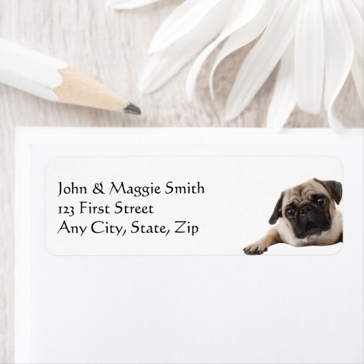 Pug Dog Pet Animal Etiket (Insitu)