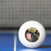 Pug Dog Pingpongbal (Net)