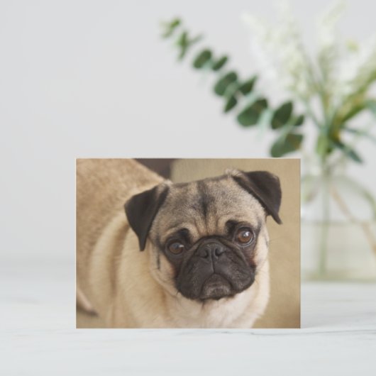 PUG DOG PUP BRIEFKAART (Staand voorkant)