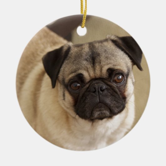 PUG DOG PUP KERAMISCH ORNAMENT (Voorkant)