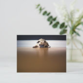 Pug Dog Puppy Grumpy Leuke Dier Huisdier Rimpelig Briefkaart (Staand voorkant)