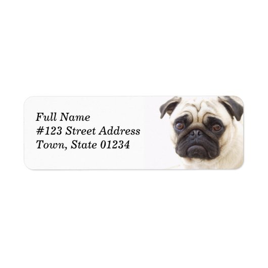 Pug Dog Retouradres Mailing Label (Voorkant)