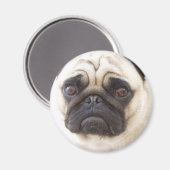 Pug Dog Ronde Magneet (Voorkant / Achterkant)