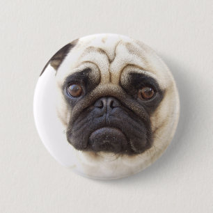 Pug Dog Round Button