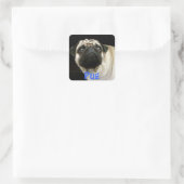 Pug Dog & Schattigee Stickers voor huisdieren (Tas)