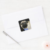 Pug Dog & Schattigee Stickers voor huisdieren (Envelop)