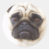 Pug Dog Sticker (Voorkant)