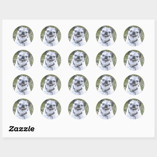 Pug Dog Sticker (Vel)