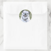 Pug Dog Sticker (Tas)