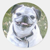Pug Dog Sticker (Voorkant)