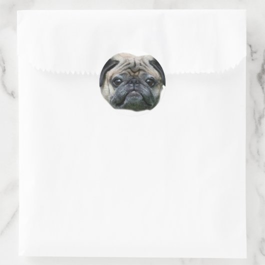 Pug Dog stickers (Tas)