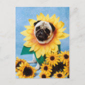 Pug Dog Sunflower Briefkaart (Voorkant)