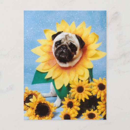 Pug Dog Sunflower Briefkaart (Voorkant)
