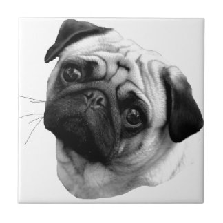 Pug Dog Tegeltje