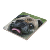 Pug Dog Tegeltje (Zijkant)