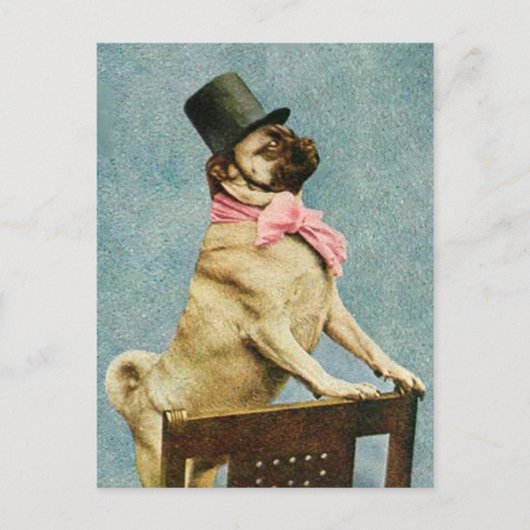 Pug Dog Tophat Briefkaart (Voorkant)