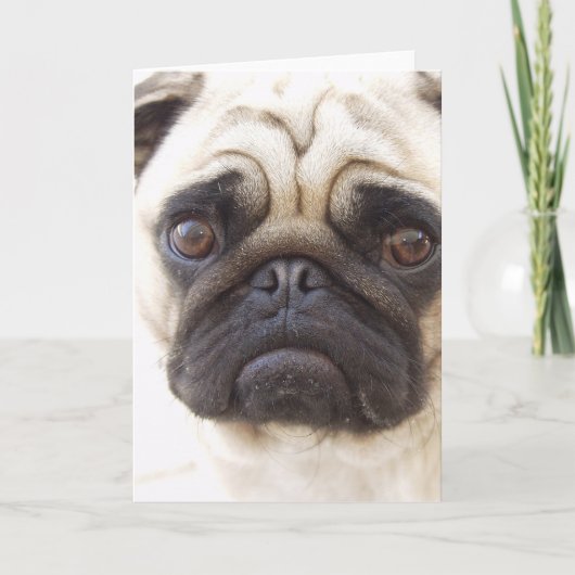 Pug Dog Wenskaart Kaart (Voorkant)